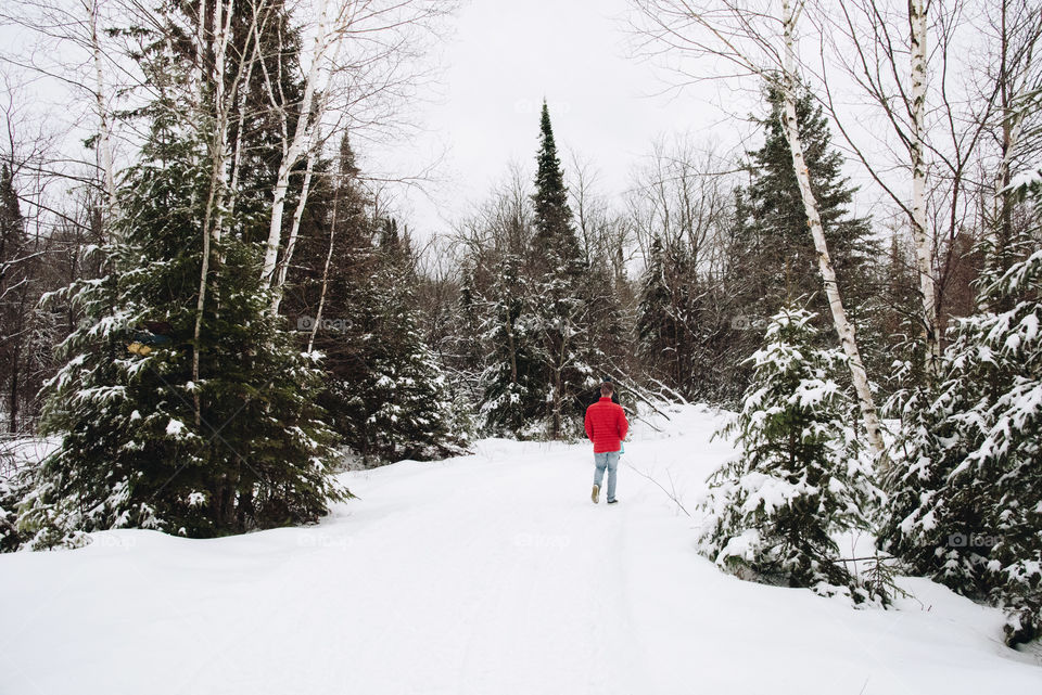 Cold walks in a wintery forest