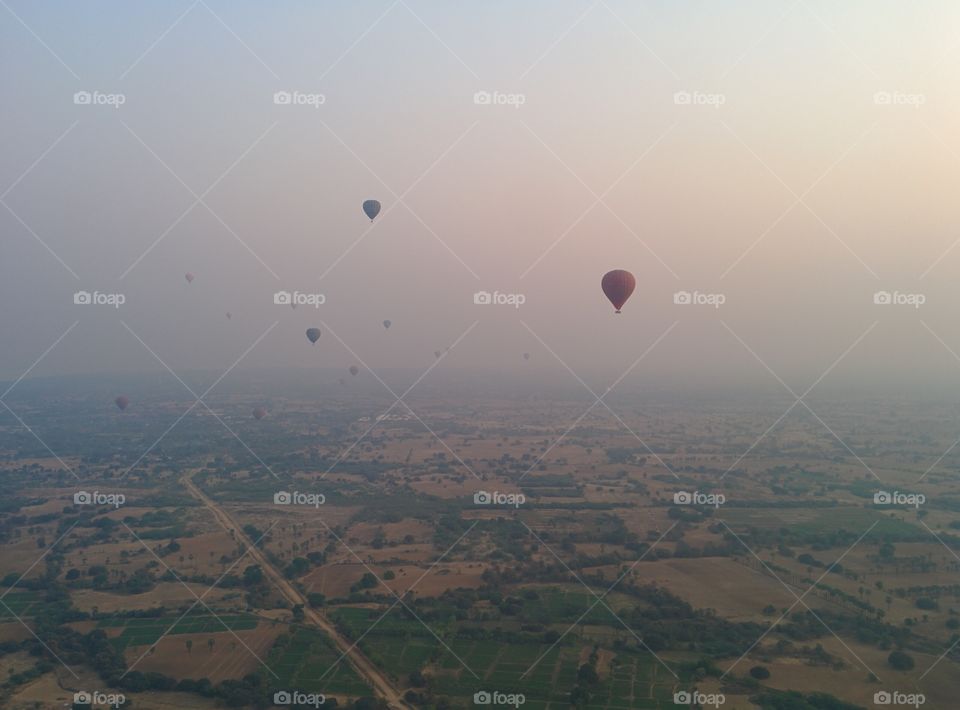 balloons in the morning mist