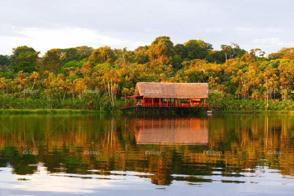 Ecuador jungle lodge