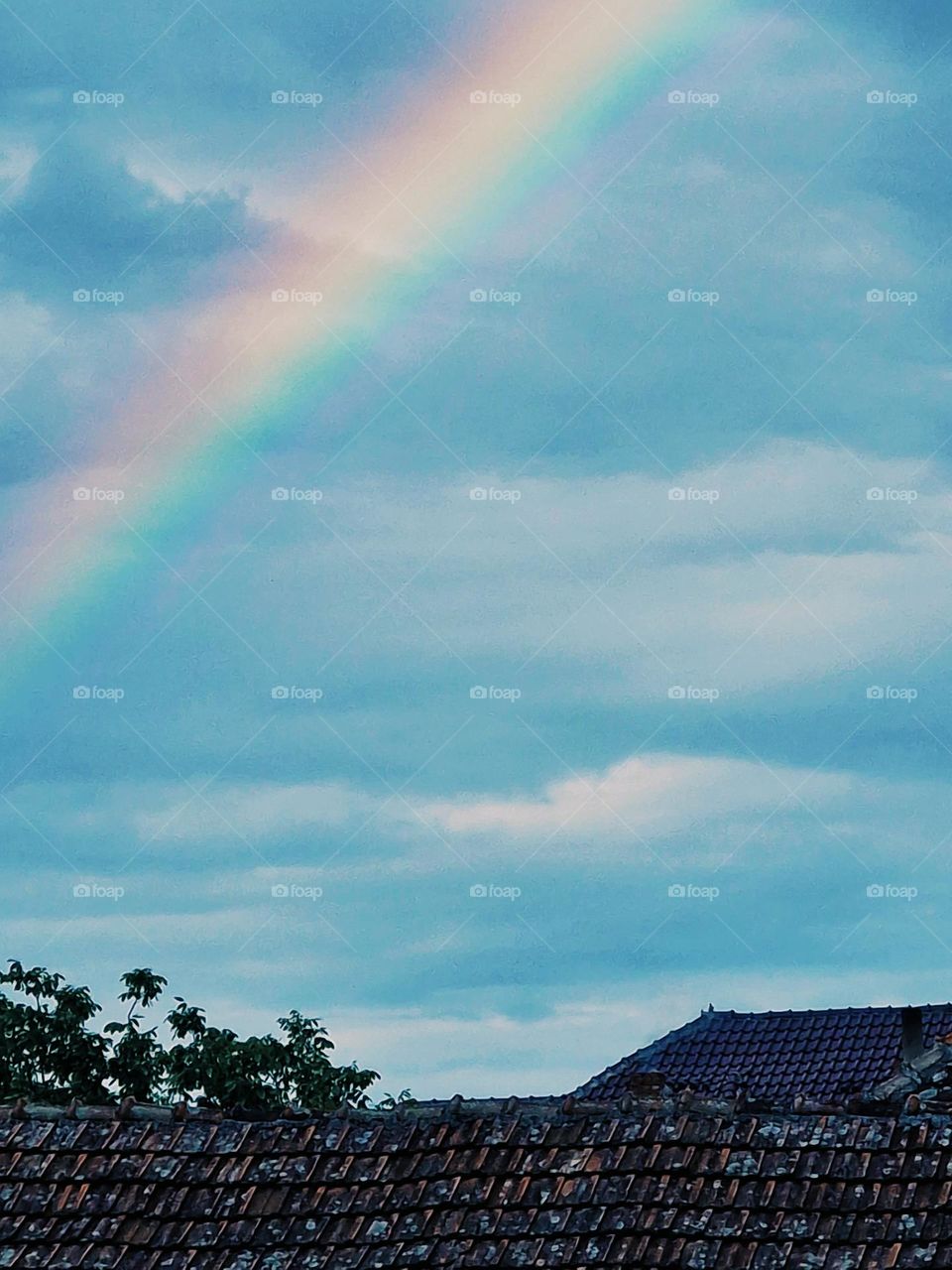 may rainbow