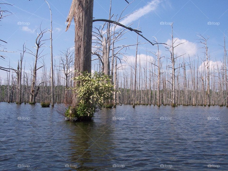 Cane Creek State Park in Arkansas 