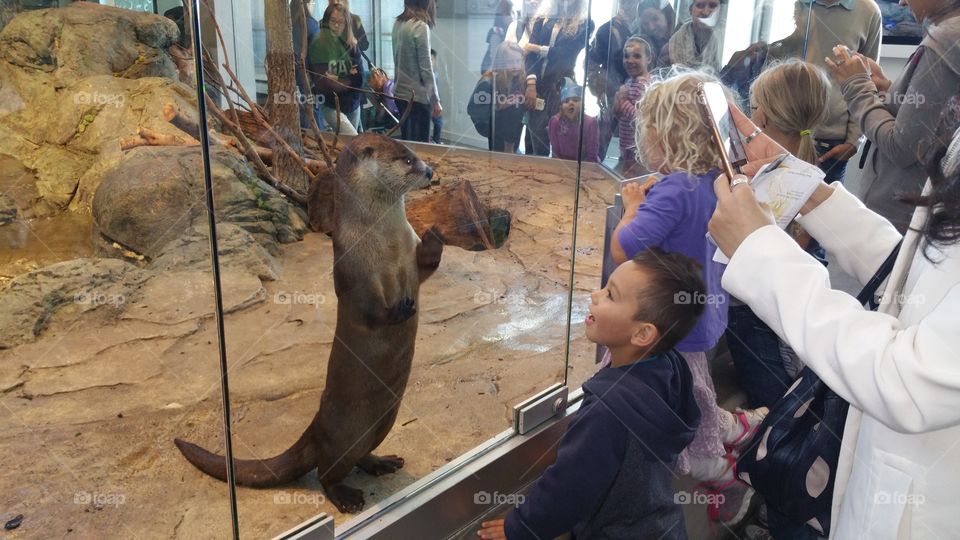 Making freinds. my son at the zoo smiling at a playful otter