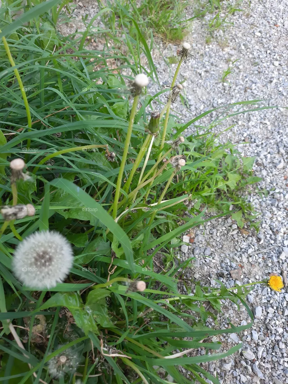 Ausgedient 