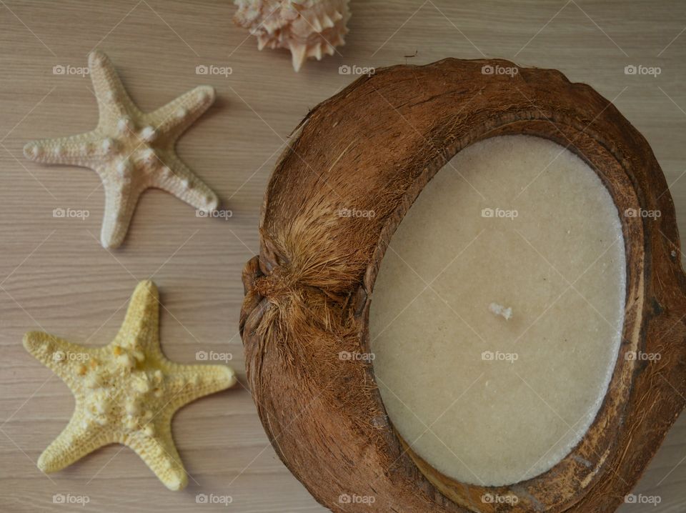 No Person, Starfish, Shell, Food, Wood