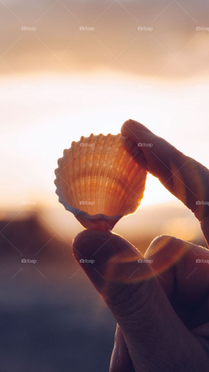 A Rare Capture At Sea