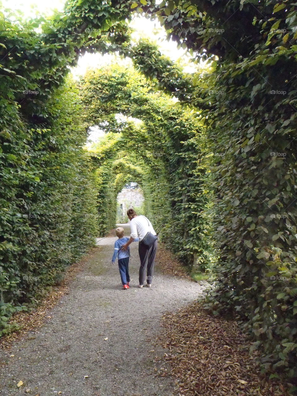 W the beloved auntie . In Birr castle and gardens, Ireland 