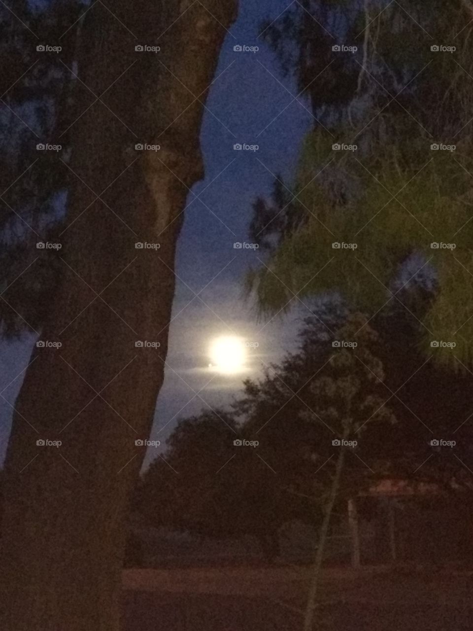 Full Moon Shining