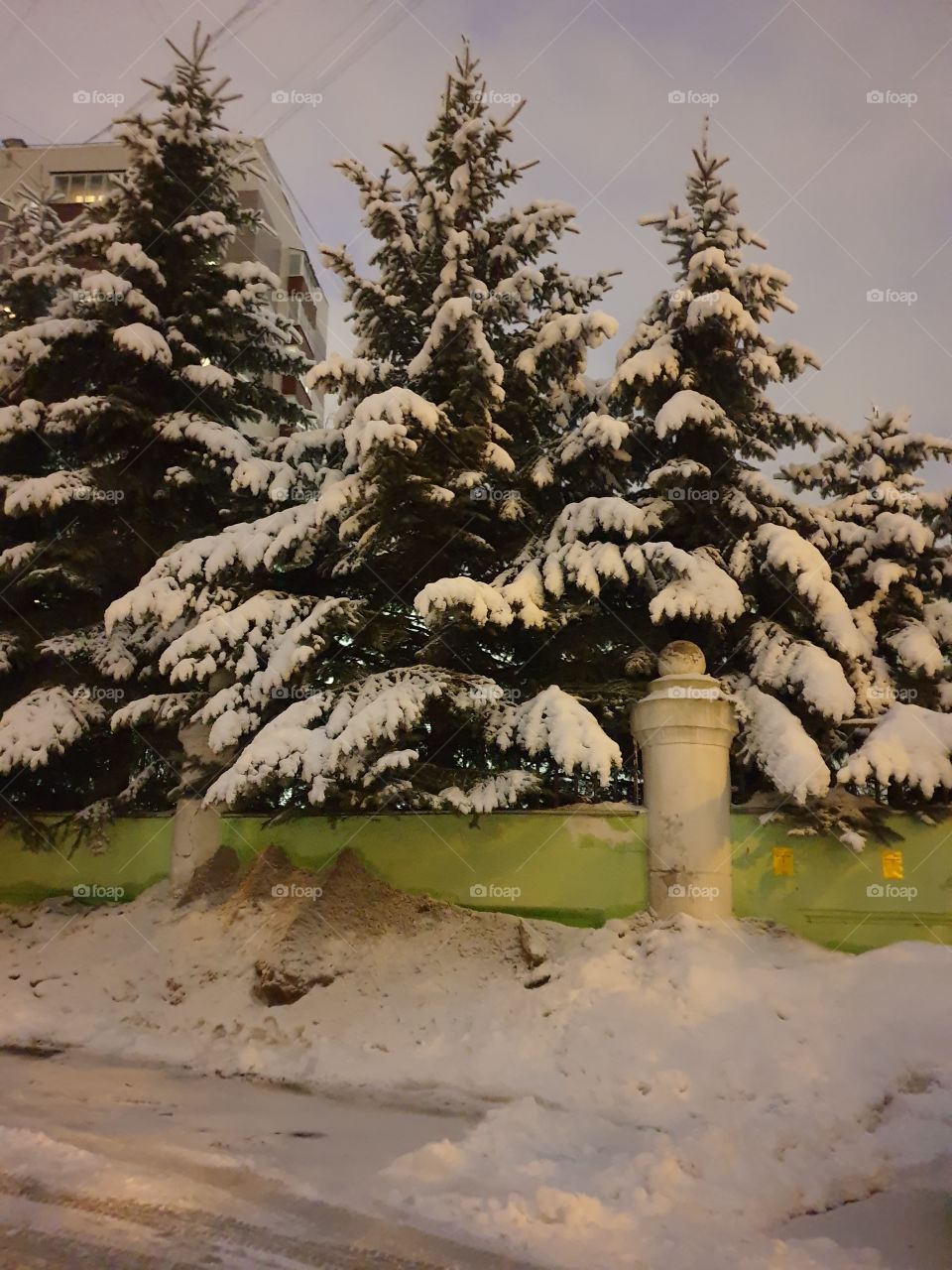 Winter fairy tale, winter, snow, evening Moscow, beautiful trees, trees in the snow