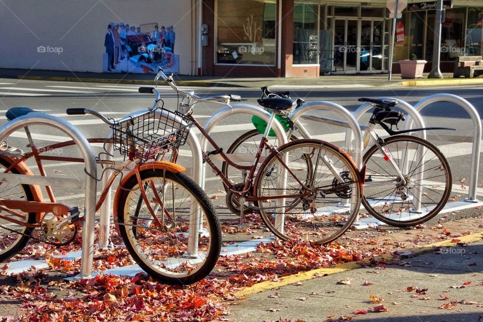 Bicycles on Main Street 