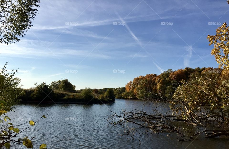 Autumn forest by the river
