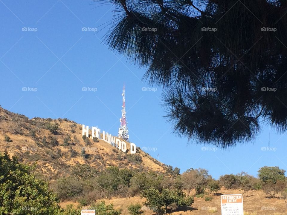 Hollywood sign