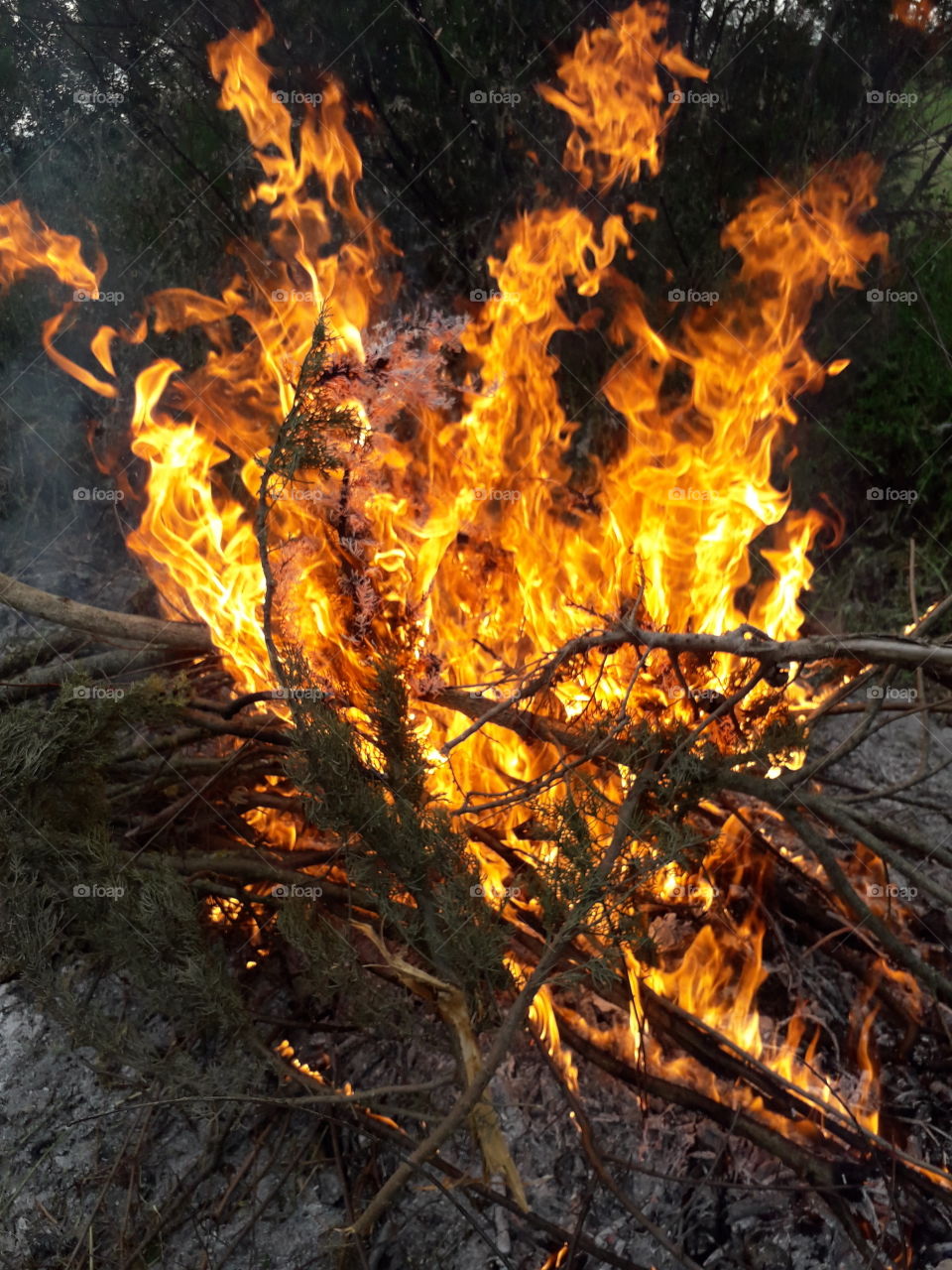 flame