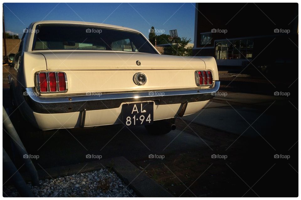 Old mustang