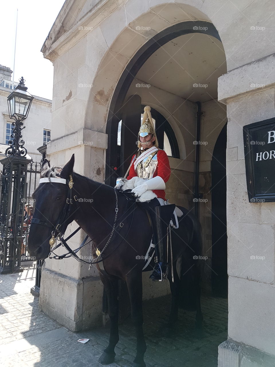 Royal Horseguard Cavalry