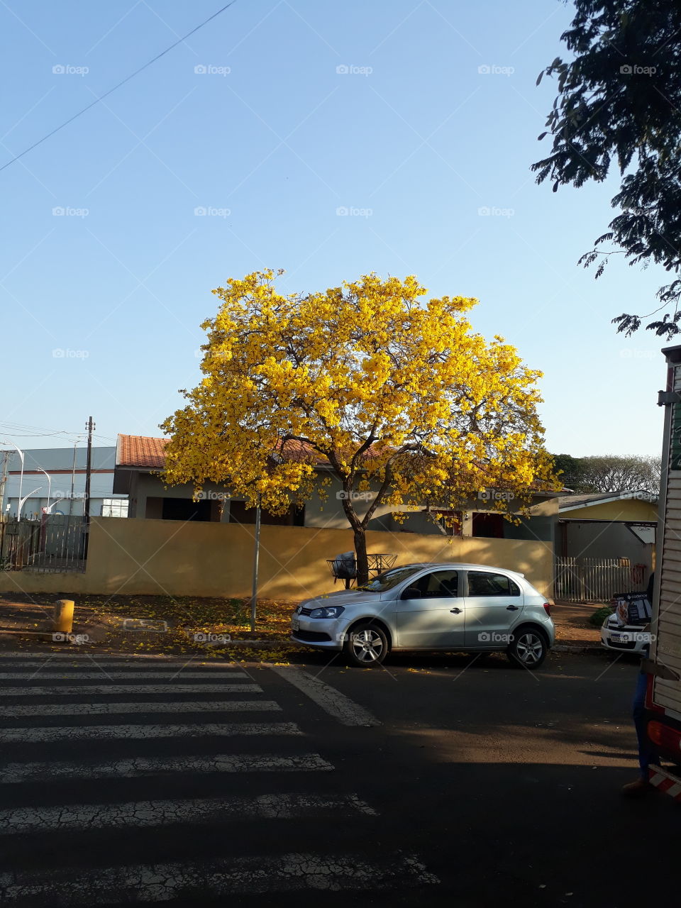 Cafelândia Paraná Brasil