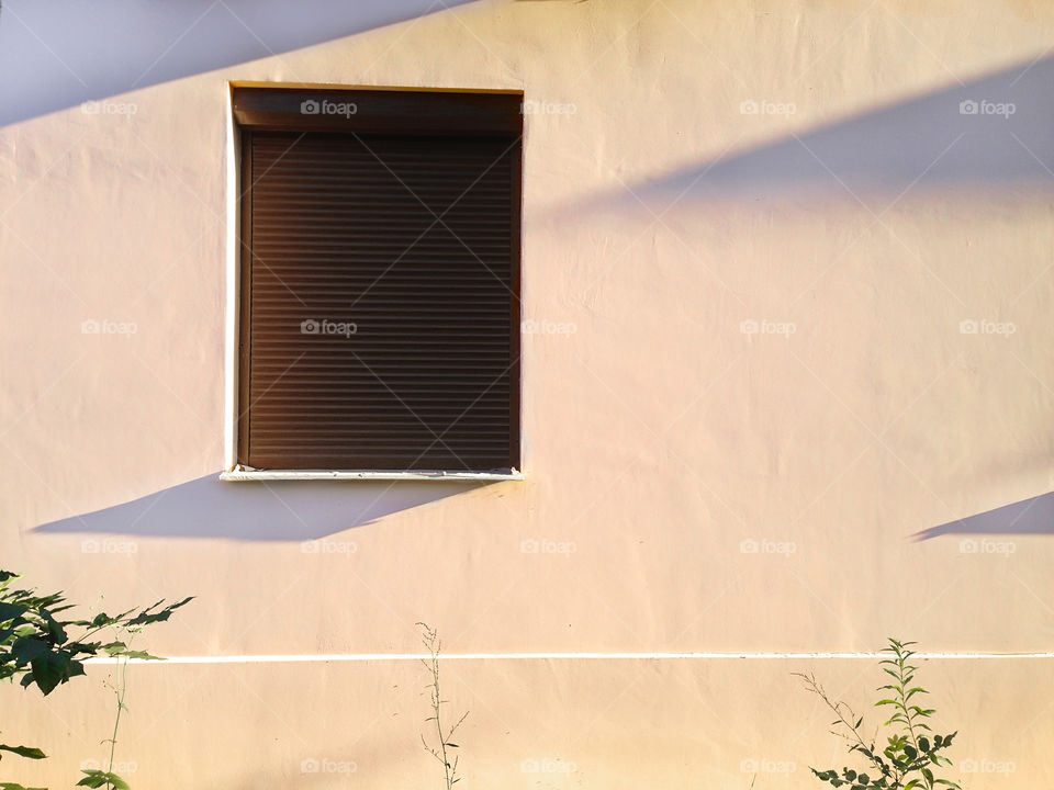 Pink wall with a brown window 