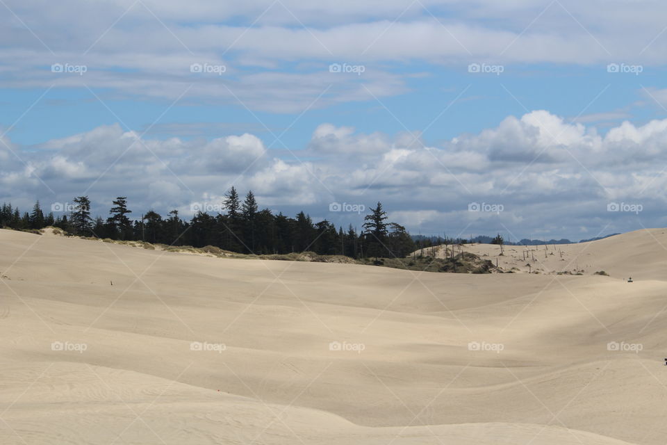 dunes