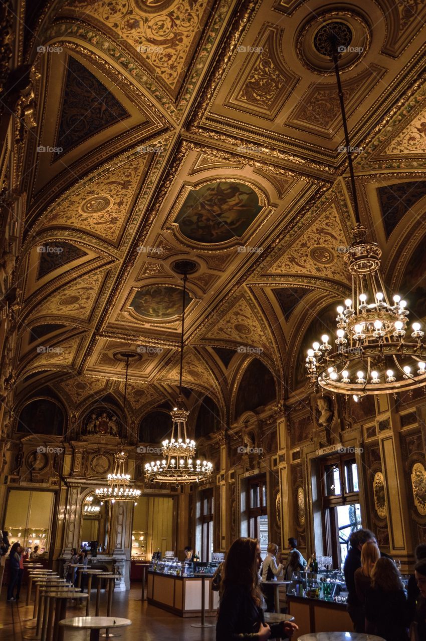 Opera Nacional de Viena - Wiener Staatsoper (Vienna - Austria)