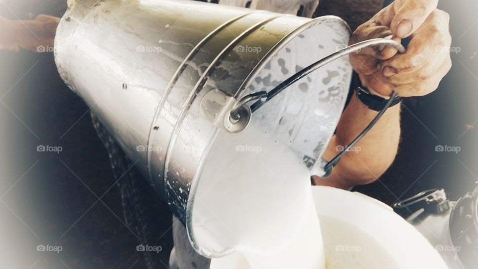 Balde de leite no curral. Coador.