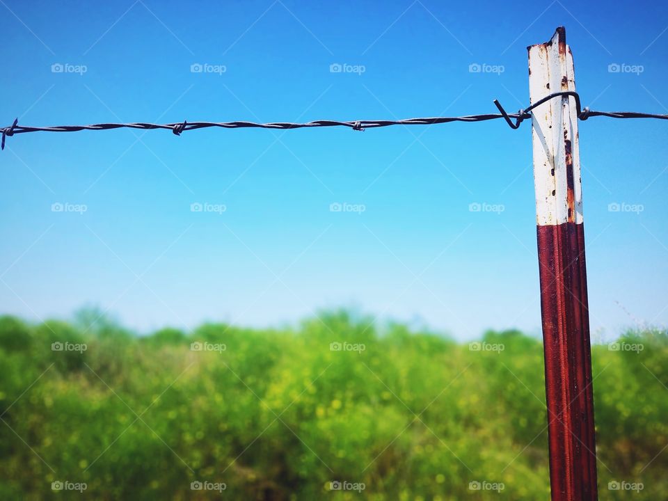 Barbed Wire Post