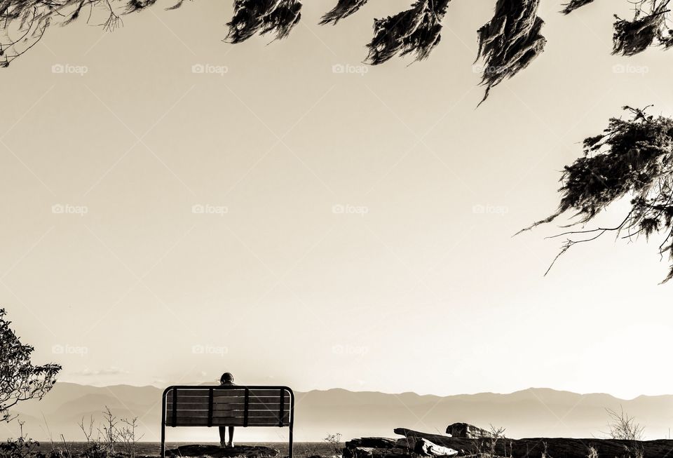 Lone person sitting on a park bench views the scenic ocean and distant mountains - photo framed by branches - Sooke, British Columbia, Canada