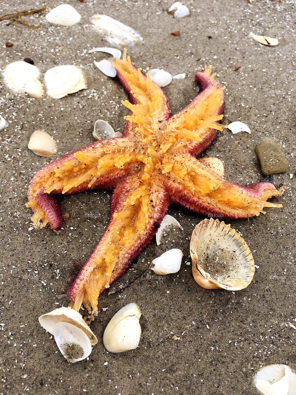 Captured with iPhone 6s Plus 