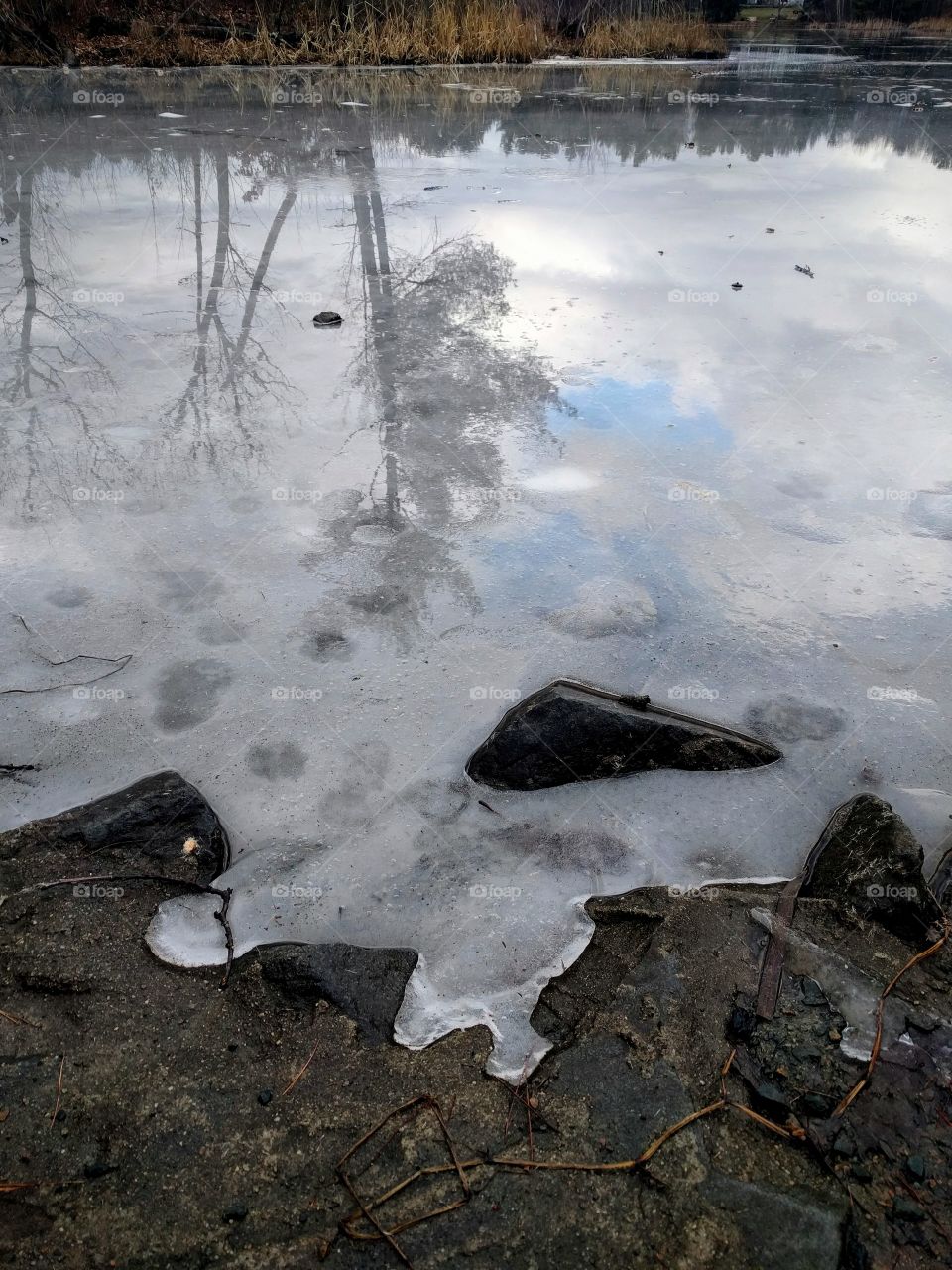 Sky mirrored in a pound on a winters day.