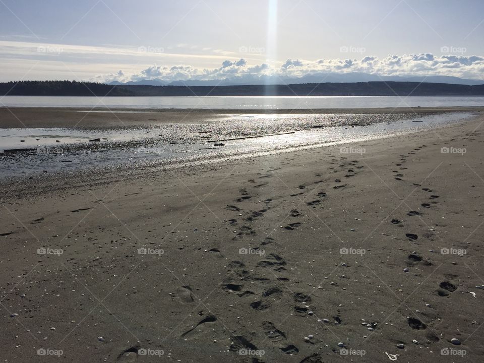 FootPrints to nowhere. Footprints on Beach