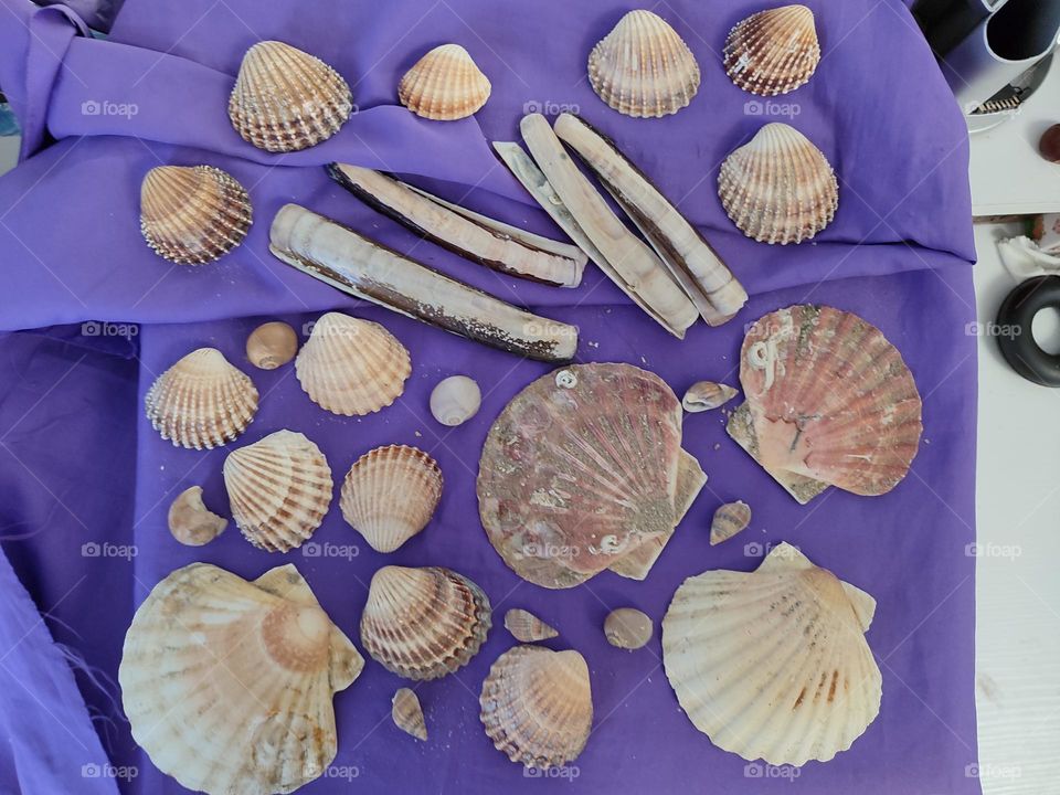 Capture the Power of Complementary Colors,