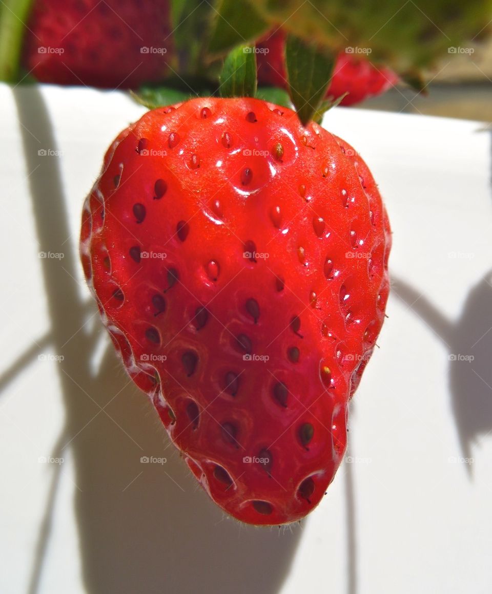 Close-up single strawberry