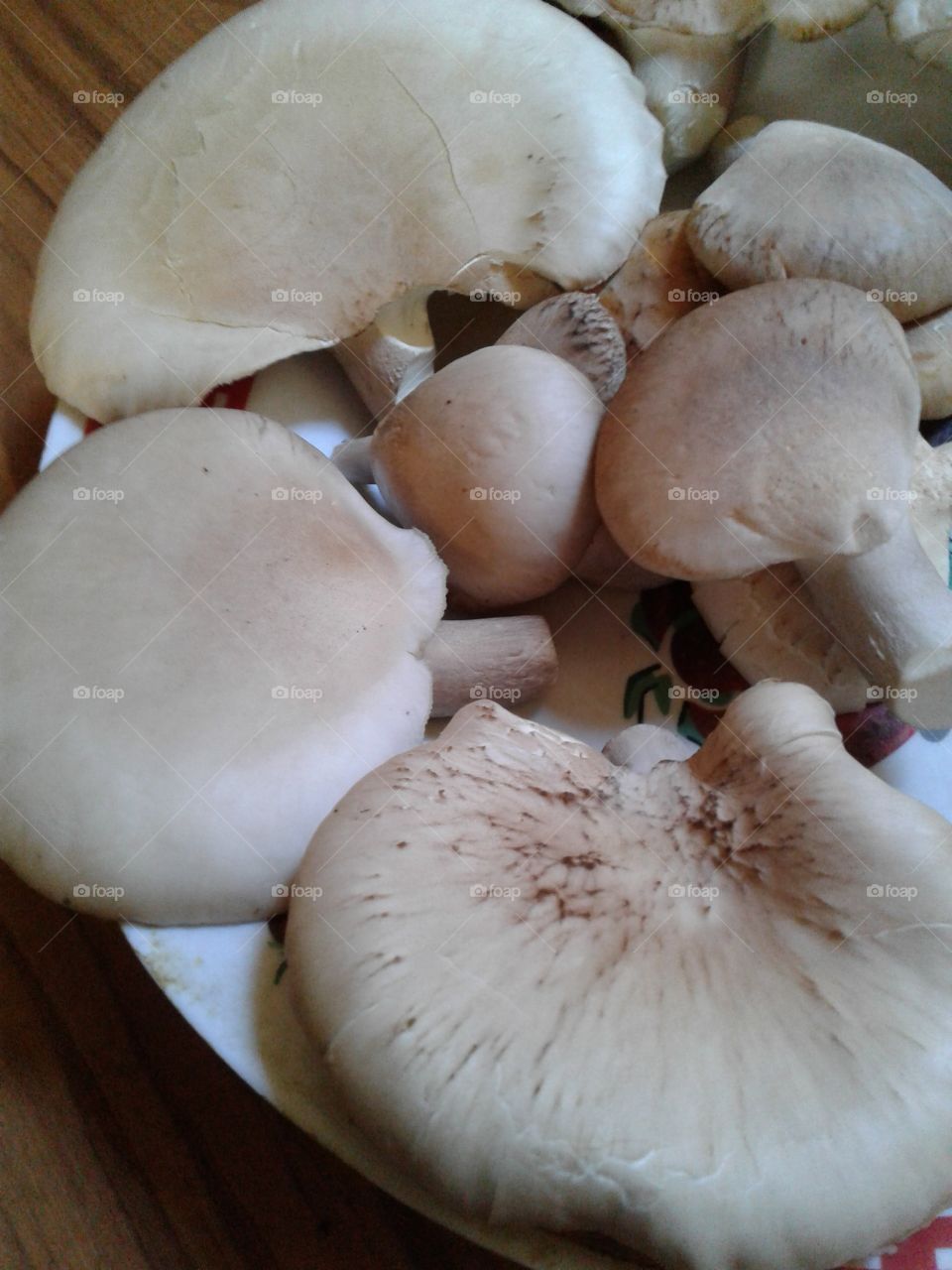 mushroom _ Abalone