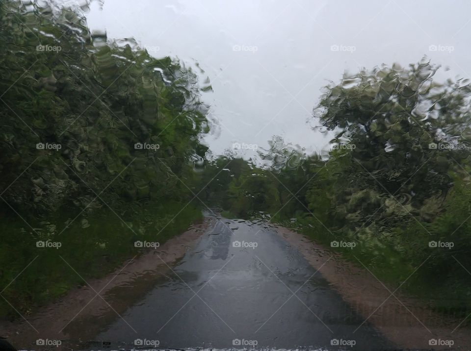 rain Regen nass wasser Pfütze weg Straße schlechtes Wetter