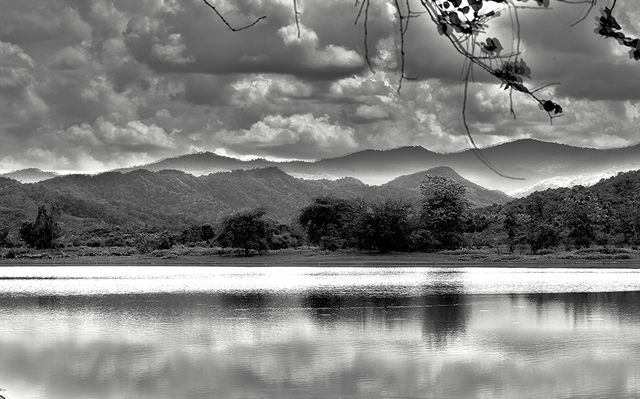 nature. natural