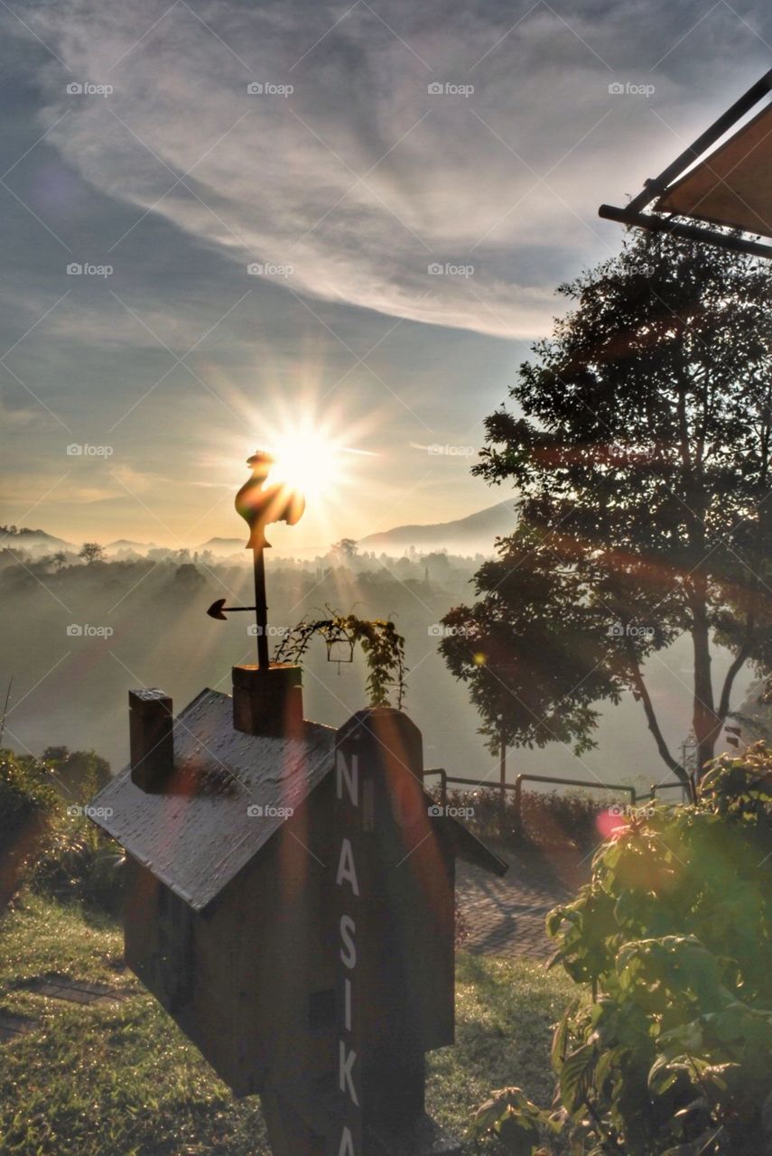 Morning call from a roaster