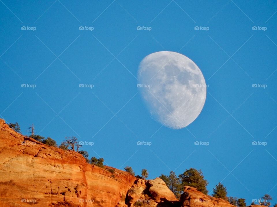 Moon over The Canyon