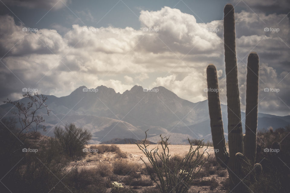 Four Peaks. Hiking the Salt River looking for the wild horses