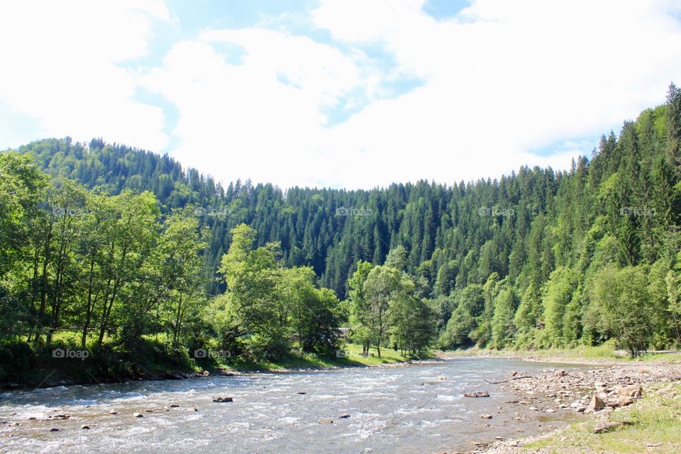 View of a flowing stream