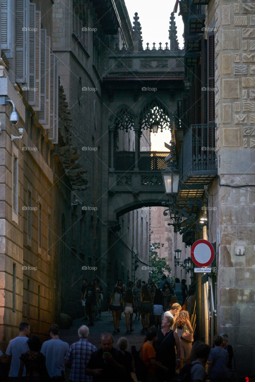 Evening Lights in the City