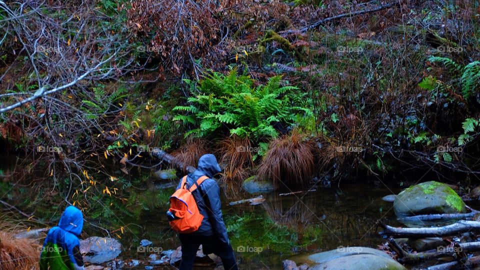 Hiking in forest after a rain