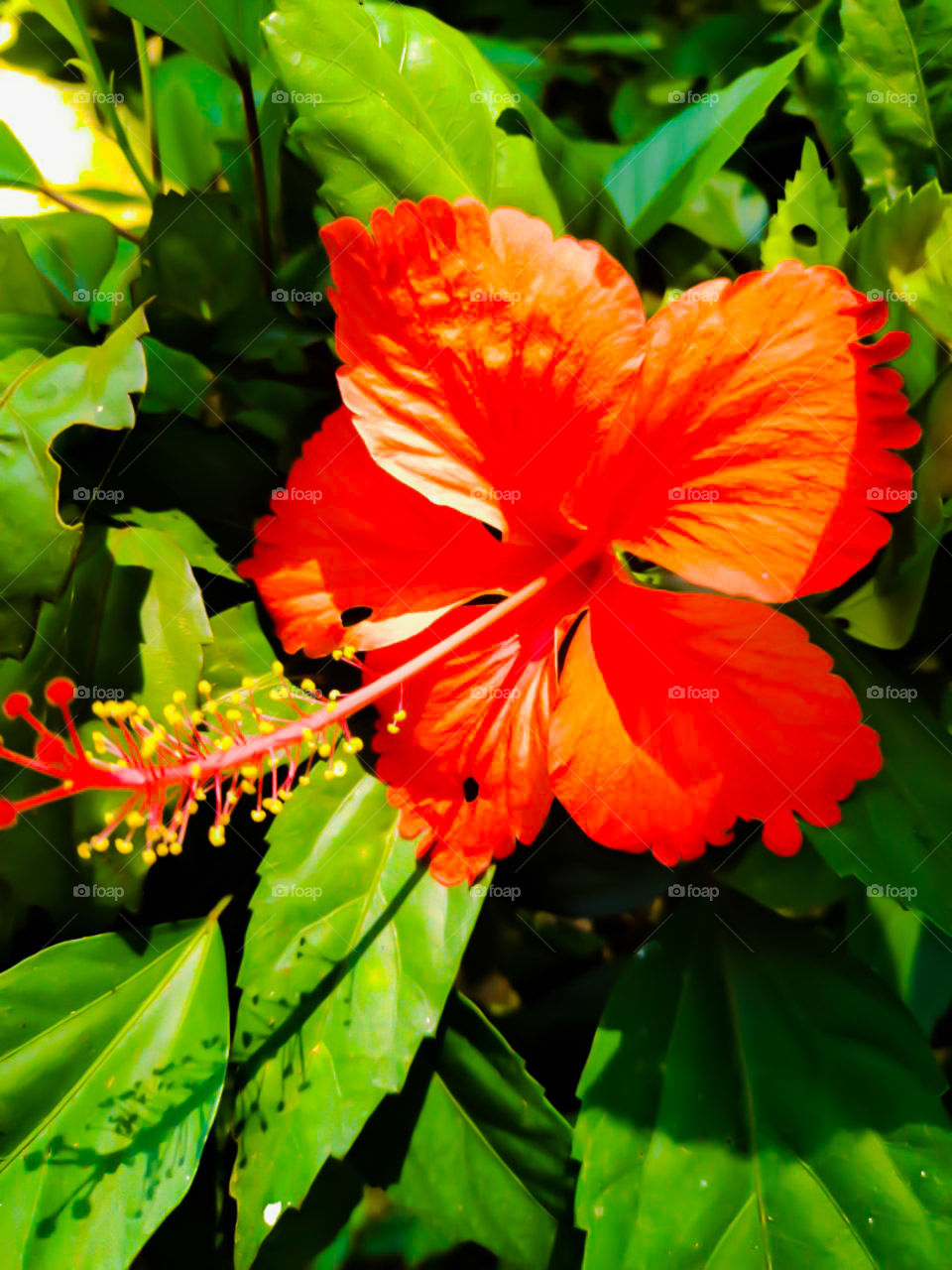 "Beauty Lies Within You"