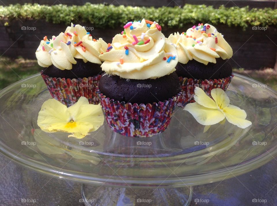 Chocolate cupcakes with rainbow colored sprinkles.