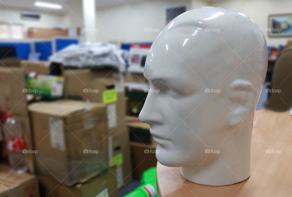 A head statue or a head mannequin only, usually for things related to fashion and jewelry