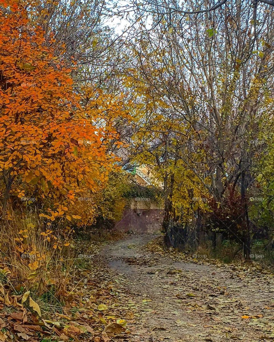 Iran, Fall