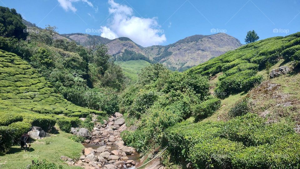 Adopt the pace of nature