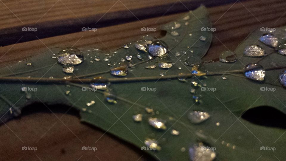 water drops on a leaf #2