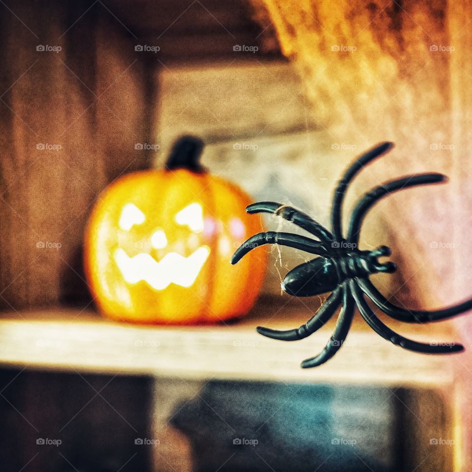 Halloween spider