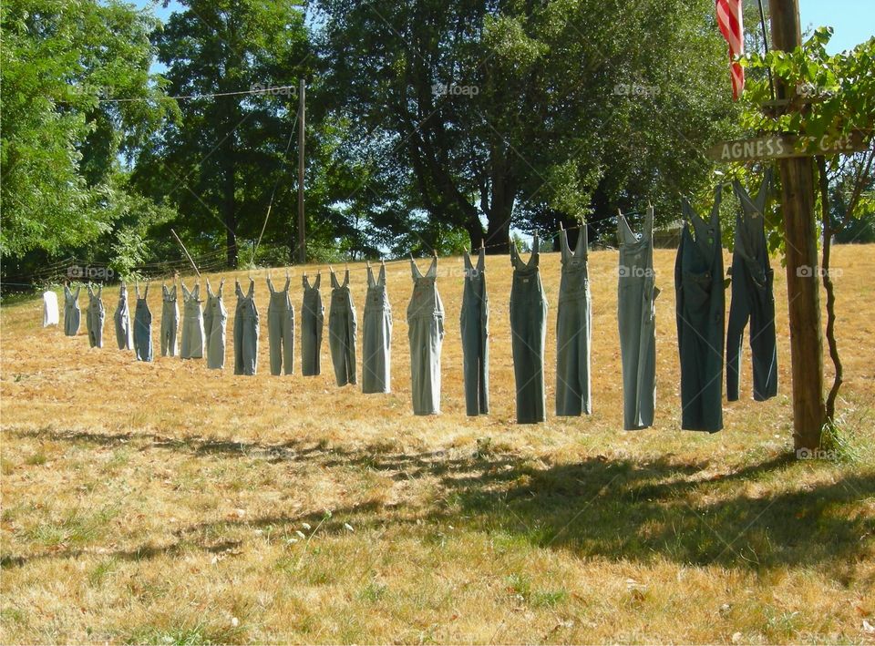 Overalls . Clothes line with numerous pairs of overalls 