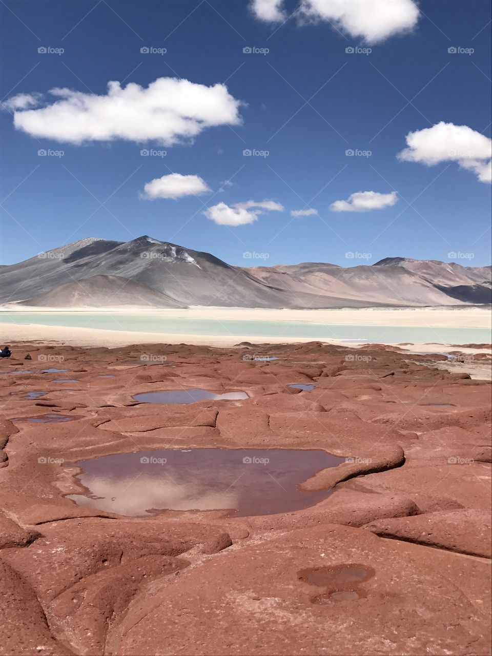 Piedras Rojas @Atacama Desert