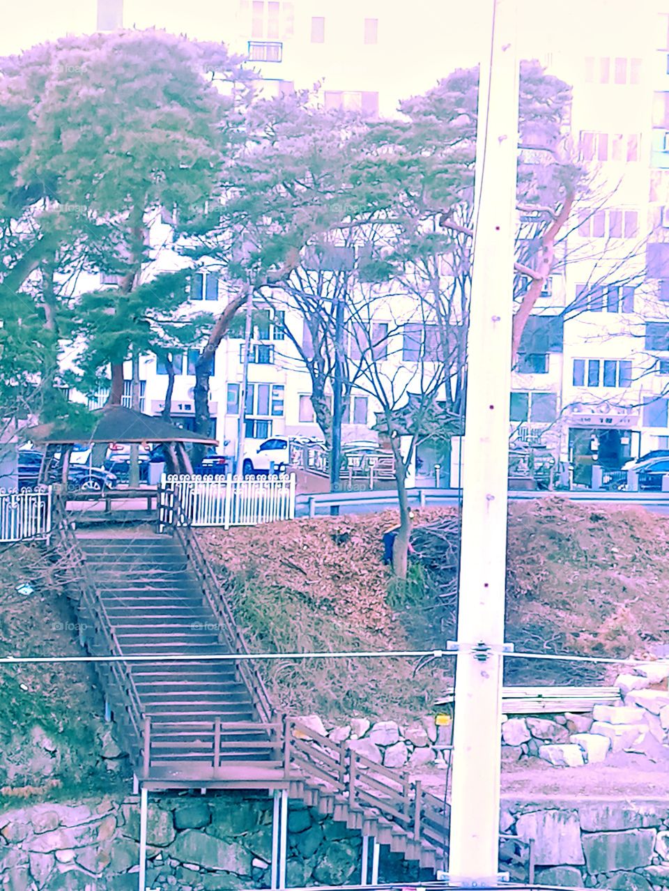 The stairs that's beside the river going up to the Apartment building play ground and The one man who's
behind the tall tree cutting some twigs for fire.