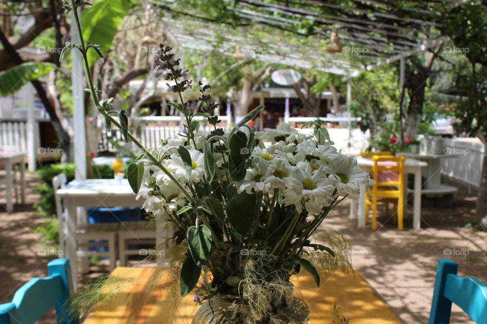 Spring flowers in a local cafe